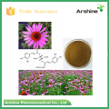GMP Fabrik geliefert Hochwertige natürliche Echinacea Herb PE